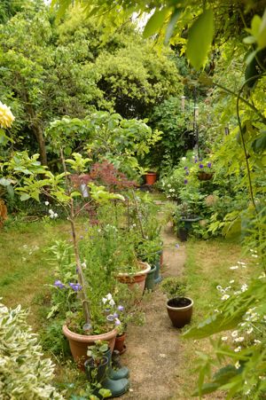 Photo 18- click for photo gallery